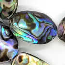 Abalone