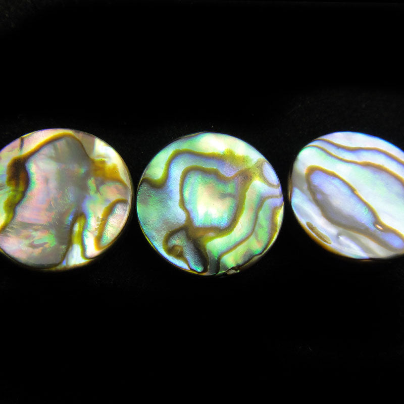 Abalone 14mm Coin Beads