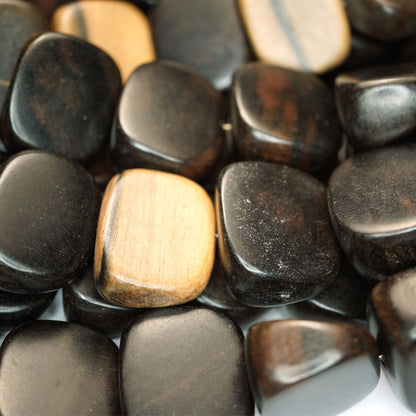 Kamagong (Tiger Ebony) Large Melon Slice Wood Beads