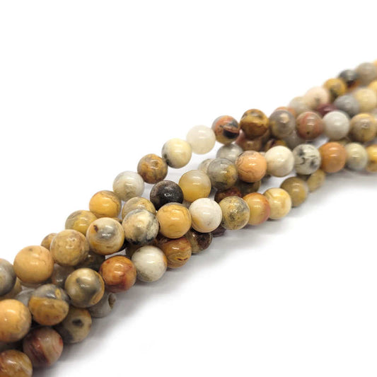 Crazy Lace Agate 6mm Round Beads