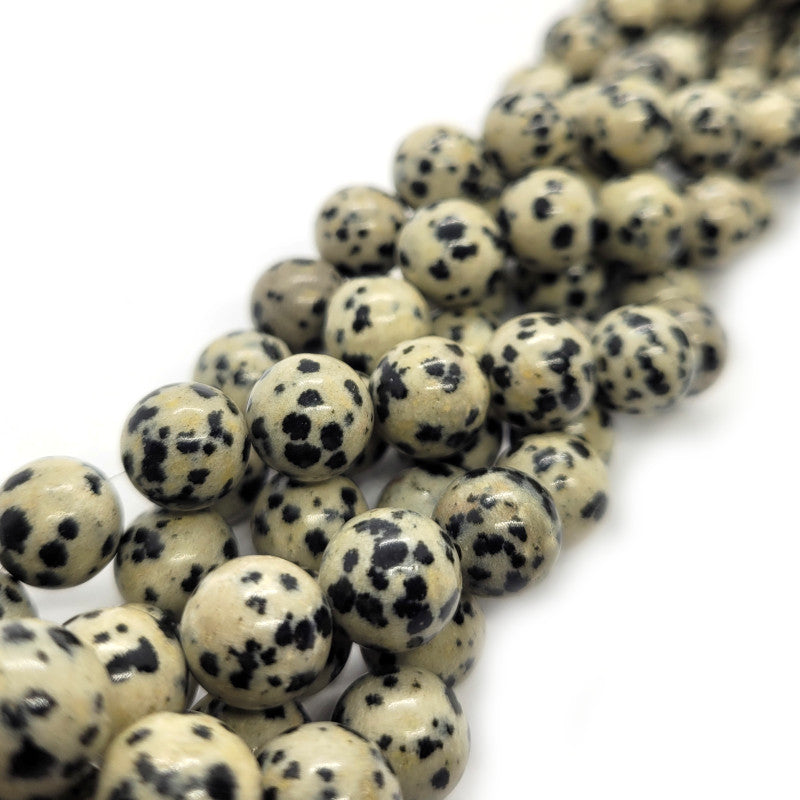 Dalmatian Jasper 10mm Round Beads