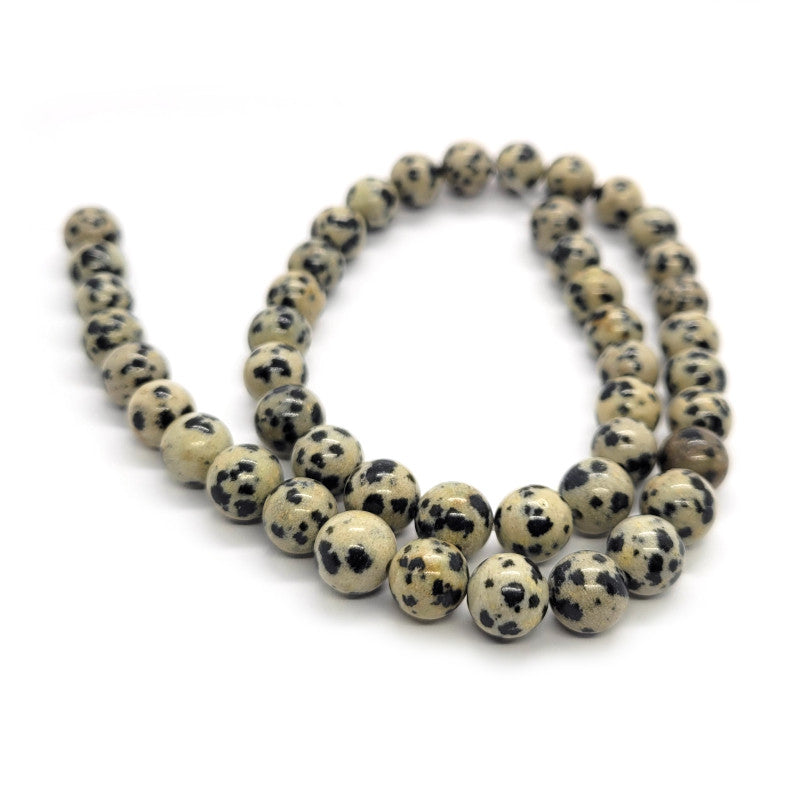 Dalmatian  Jasper 8mm Round Beads