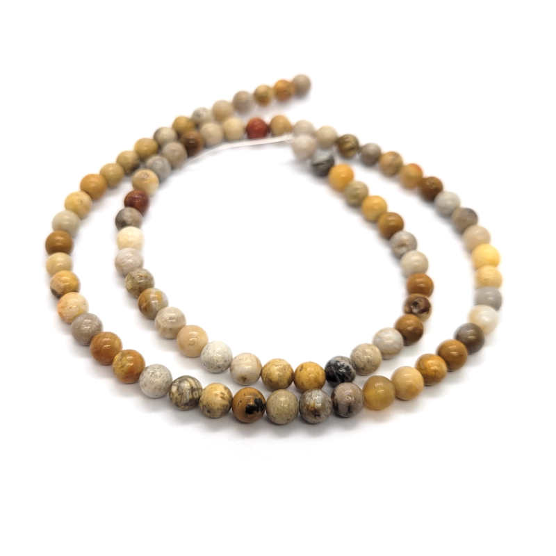 Fossil Jasper 4mm Round Beads 