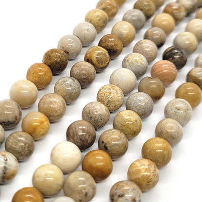 Fossil Jasper 6mm Round Beads