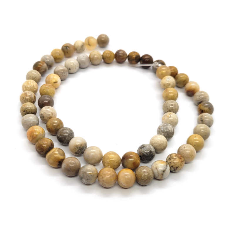 Fossil Jasper 6mm Round Beads