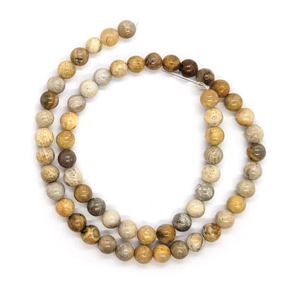 Fossil Jasper 6mm Round Beads