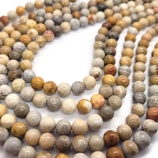 Fossil Jasper 8mm Round Beads