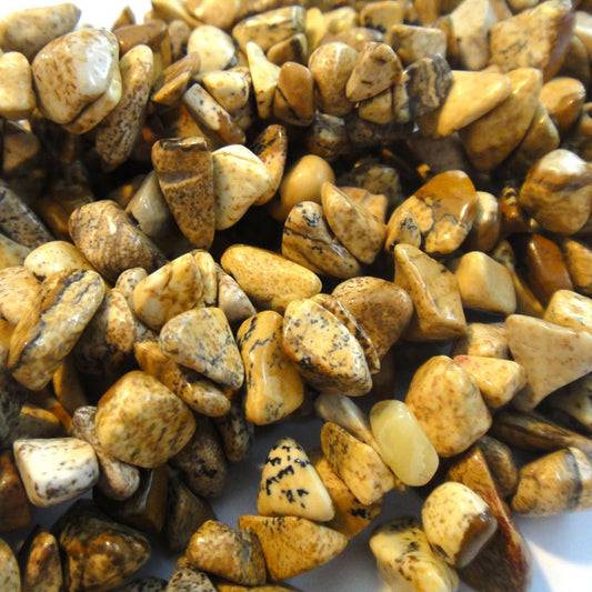 Picture Jasper Chip Beads 