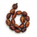 Large Natural Nut Beads 