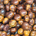 Large Natural Nut Beads